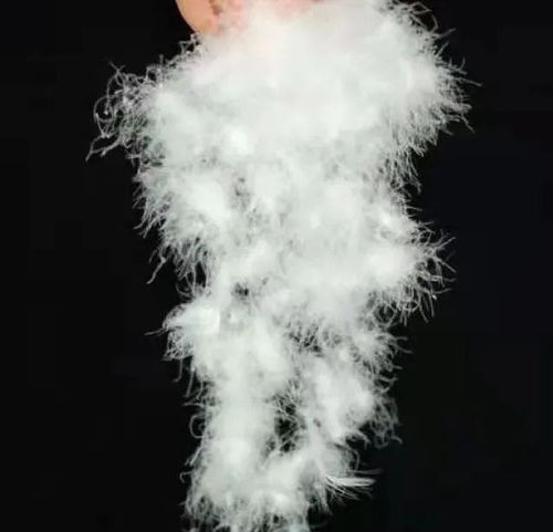 寶升家紡 年產(chǎn)20萬件羽絨制品項(xiàng)目 助跑 預(yù)計(jì)年產(chǎn)值同比增長(zhǎng)233